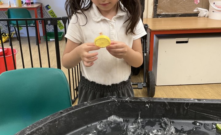 Image of Cherry Tree - Sensory Science.