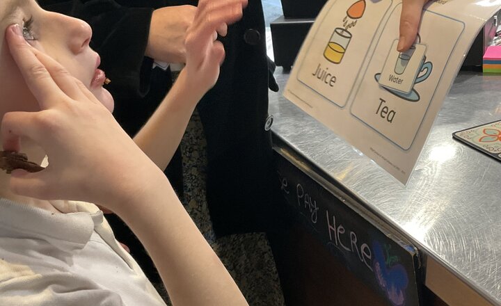 Image of Oak tree Maths - A trip to the Cafe!