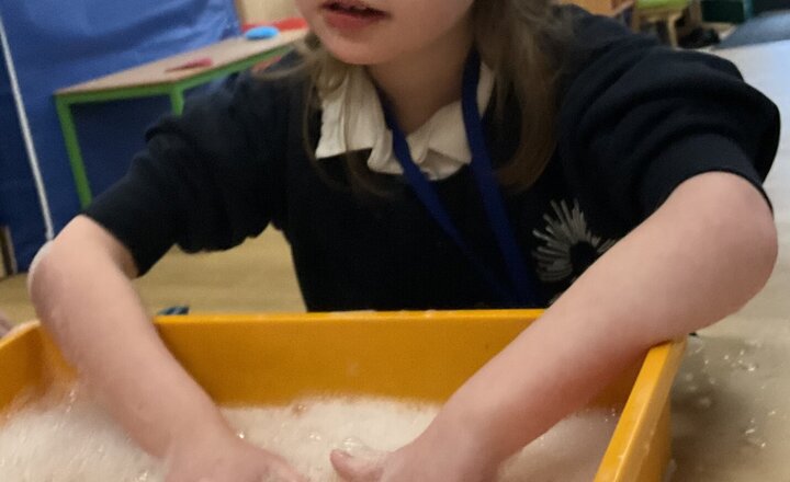 Image of Oak tree PSHE