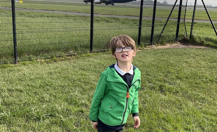 Image of Maple tree - Manchester Airport Runway visitor park