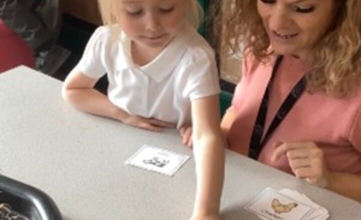 Image of Apple Tree - Spring term fun!