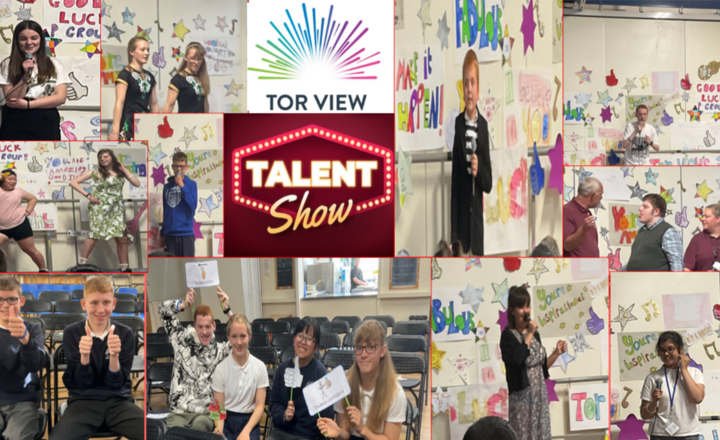 Image of Tor View's got Talent