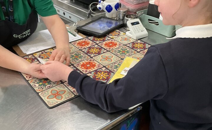 Image of Elm tree - Café Communication 