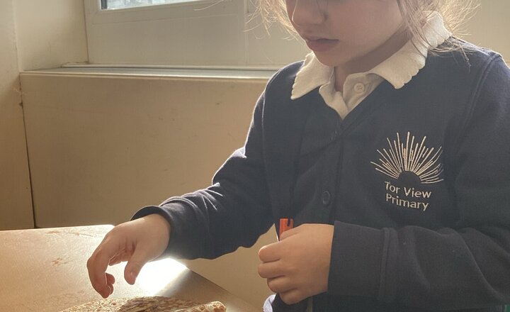 Image of Pancake day in Cherry Tree class!