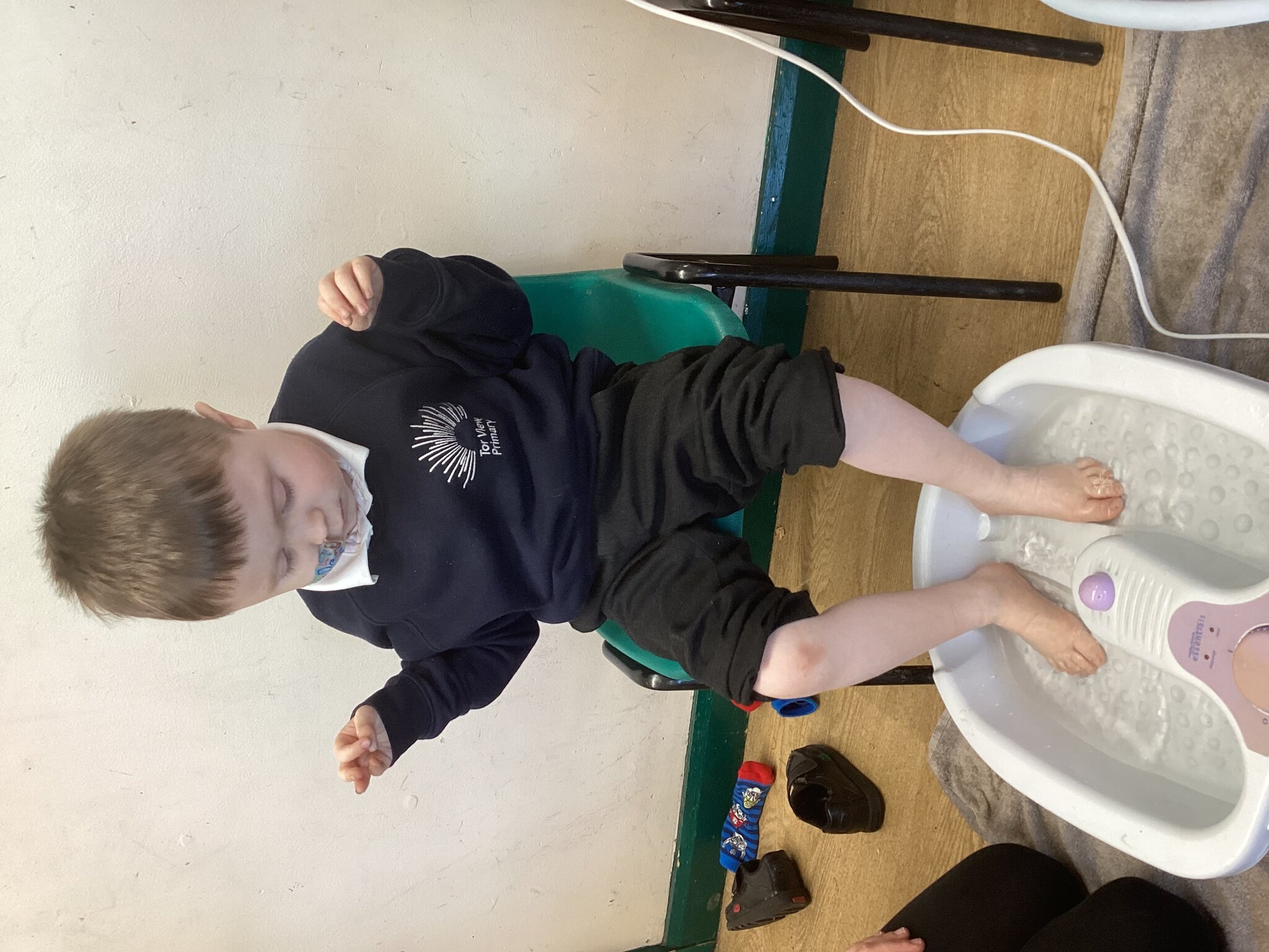 Image of Cherry Tree RE