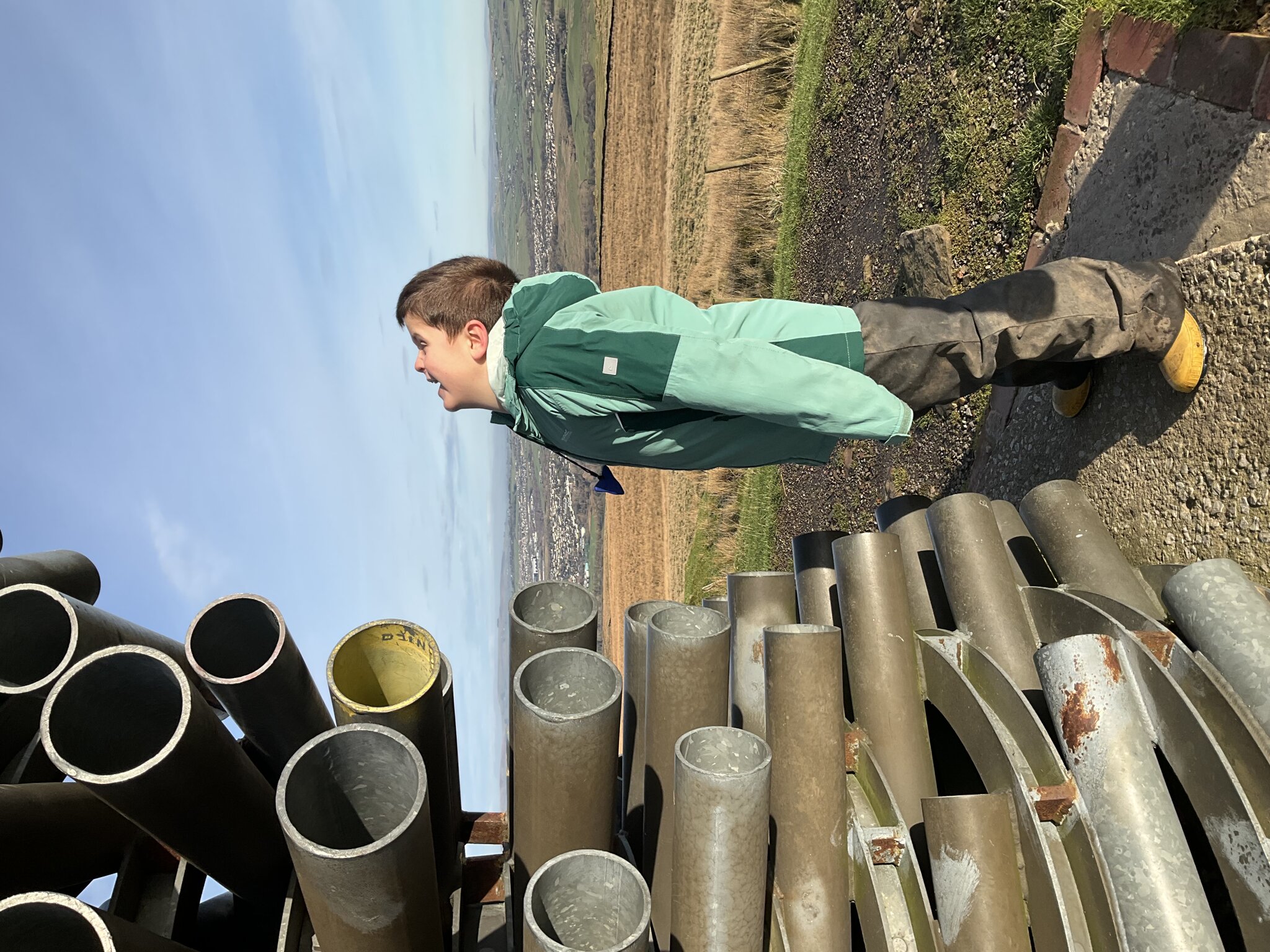 Image of Elm tree - Trip to the Singing Ringing Tree!