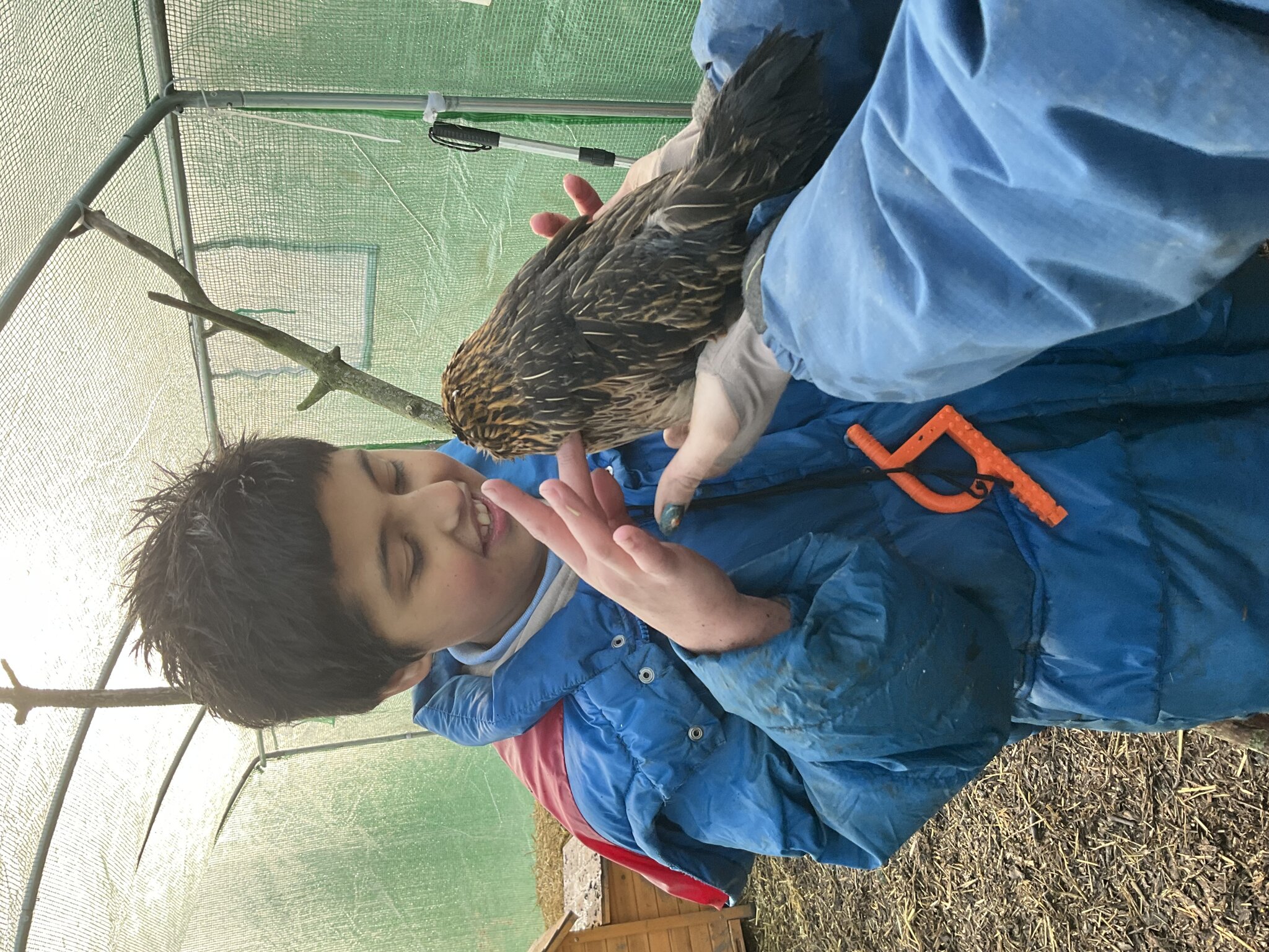 Image of Elm tree - Forest School!