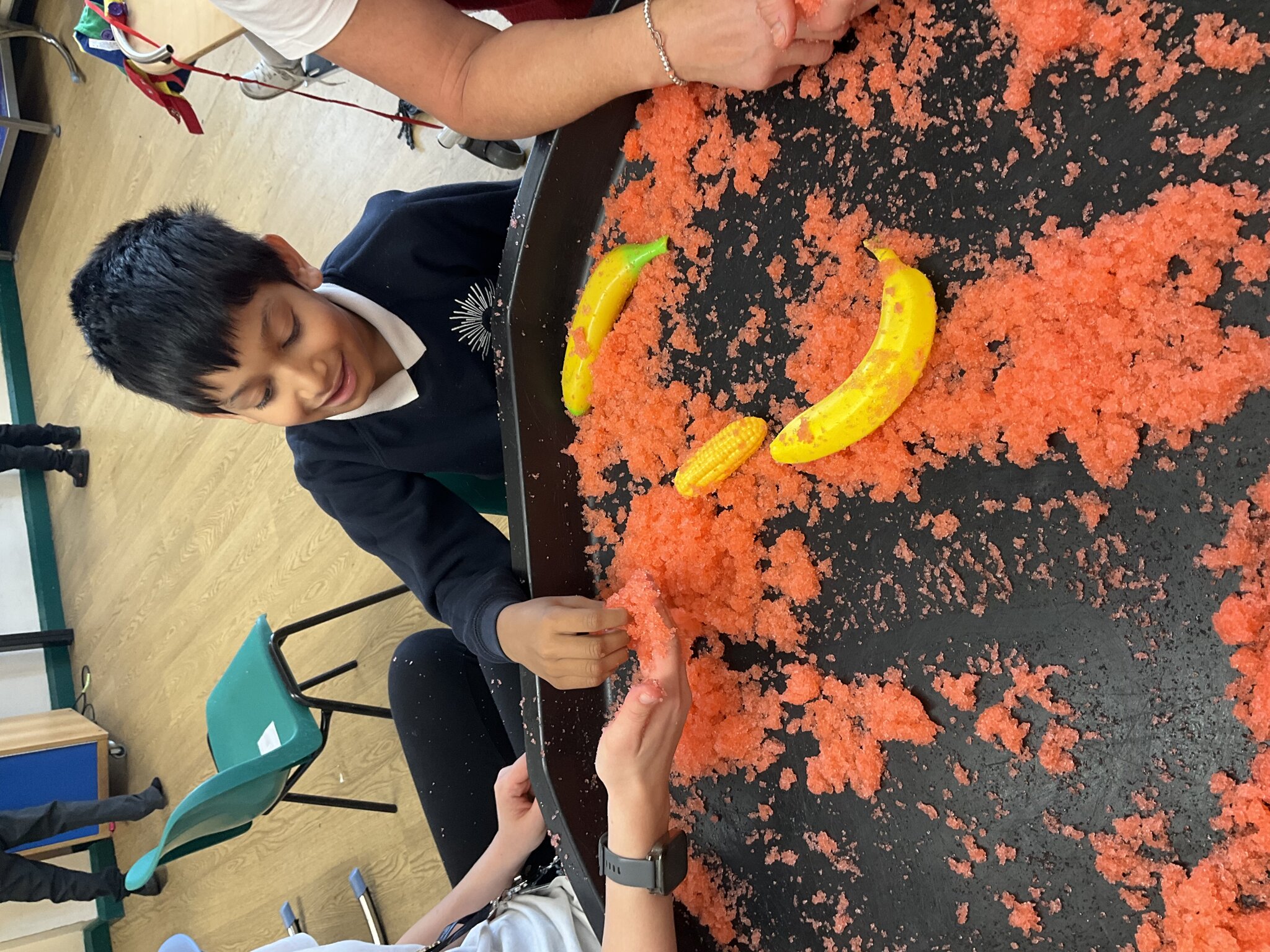 Image of Cherry tree - Our 5 senses!