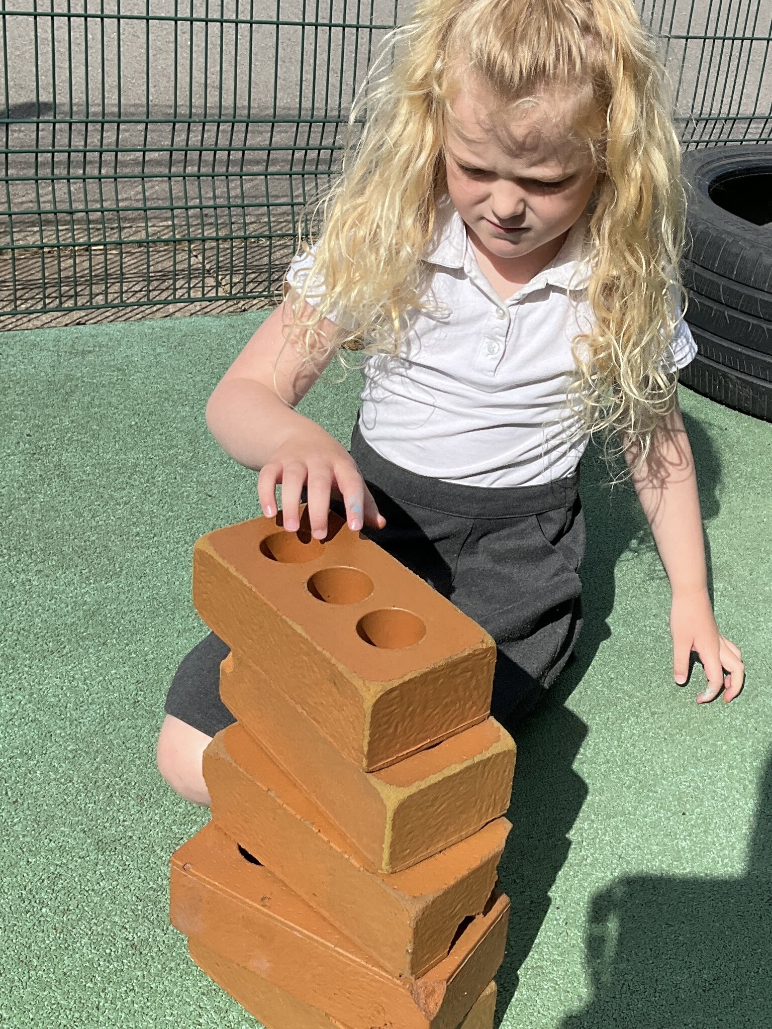 Image of Elm Tree 'What's the difference?'