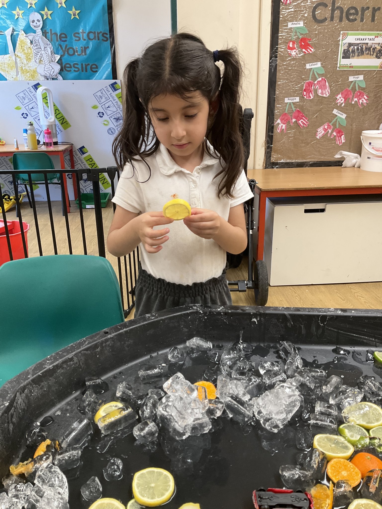 Image of Cherry Tree - Sensory Science.