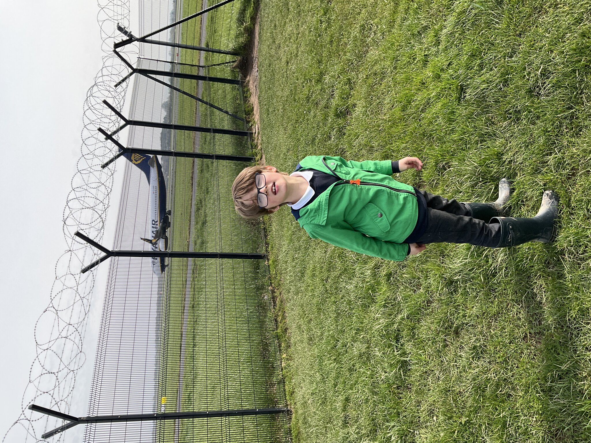 Image of Maple tree - Manchester Airport Runway visitor park