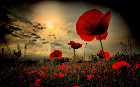 Image of Y6 Remembrance Assembly + Cafe