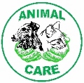 Image of Animals in School!