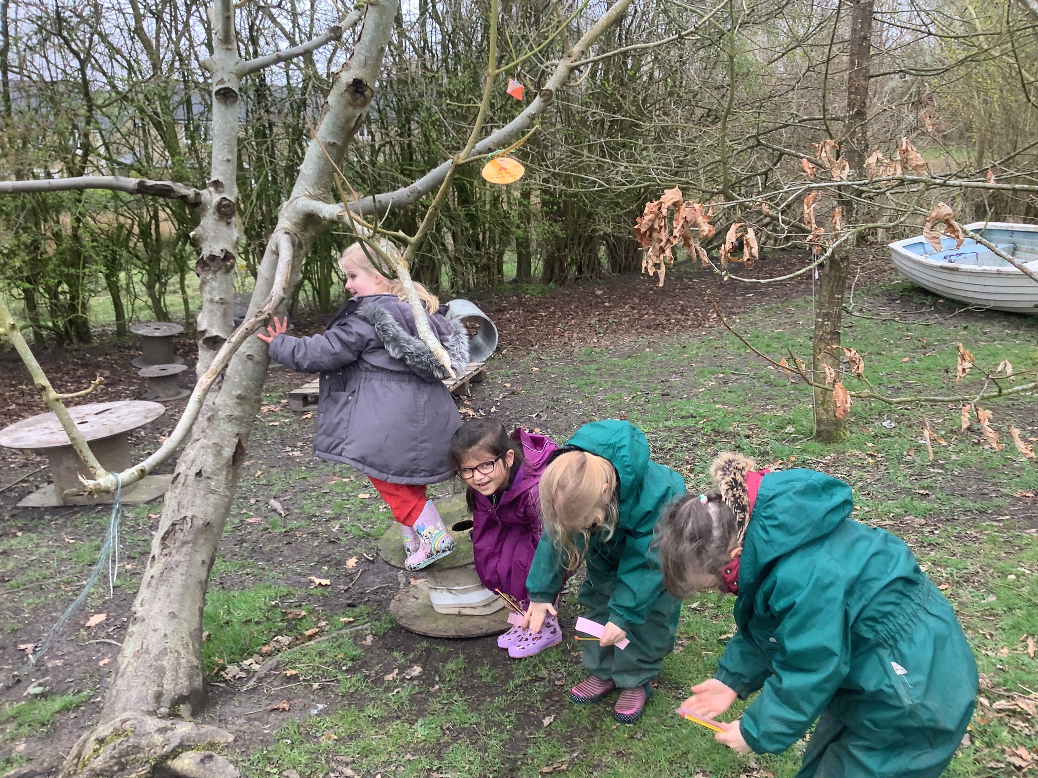 Image of Egg-citing Forest Hunt