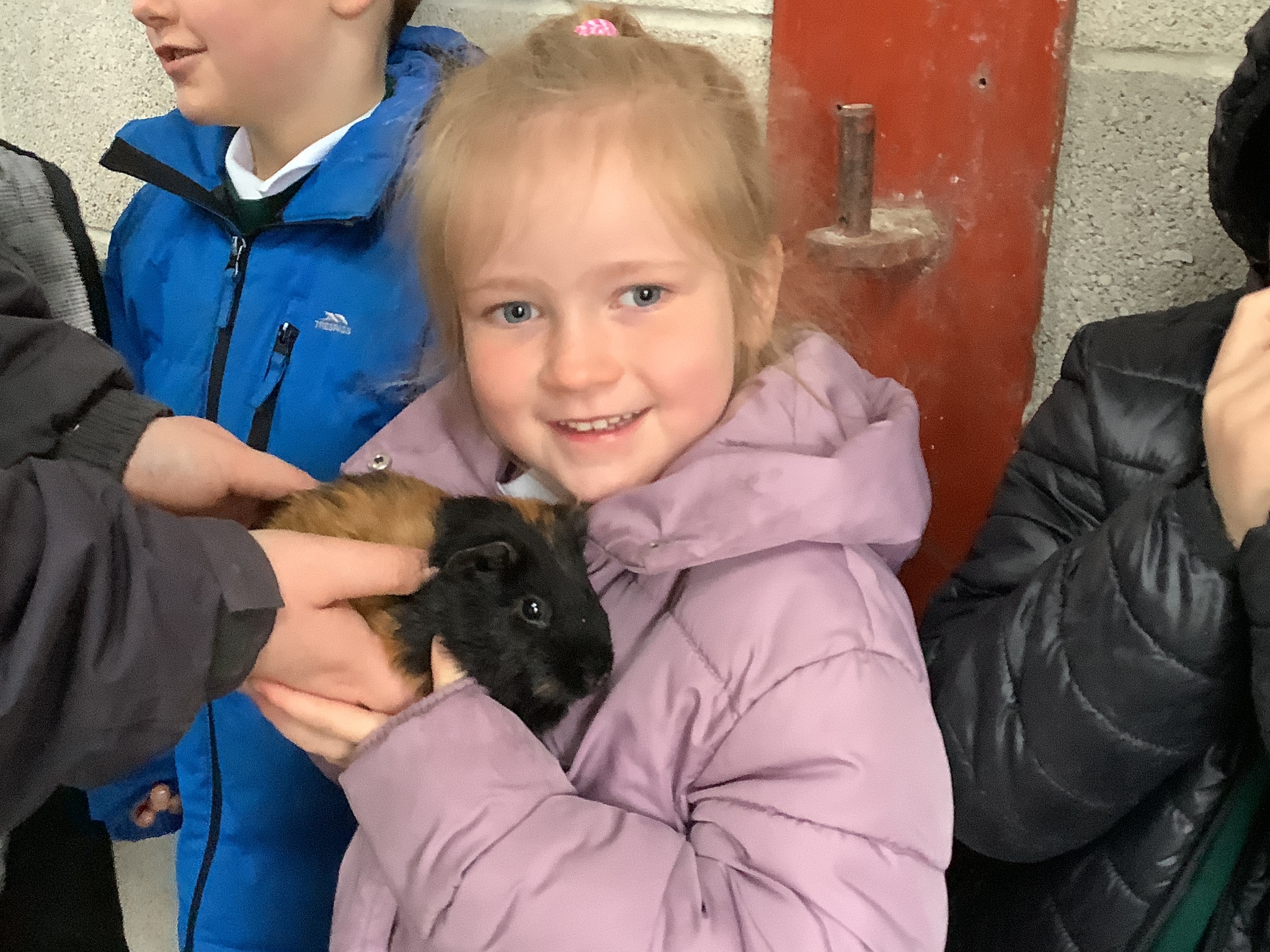 Image of Fantastic Fun on the Farm!