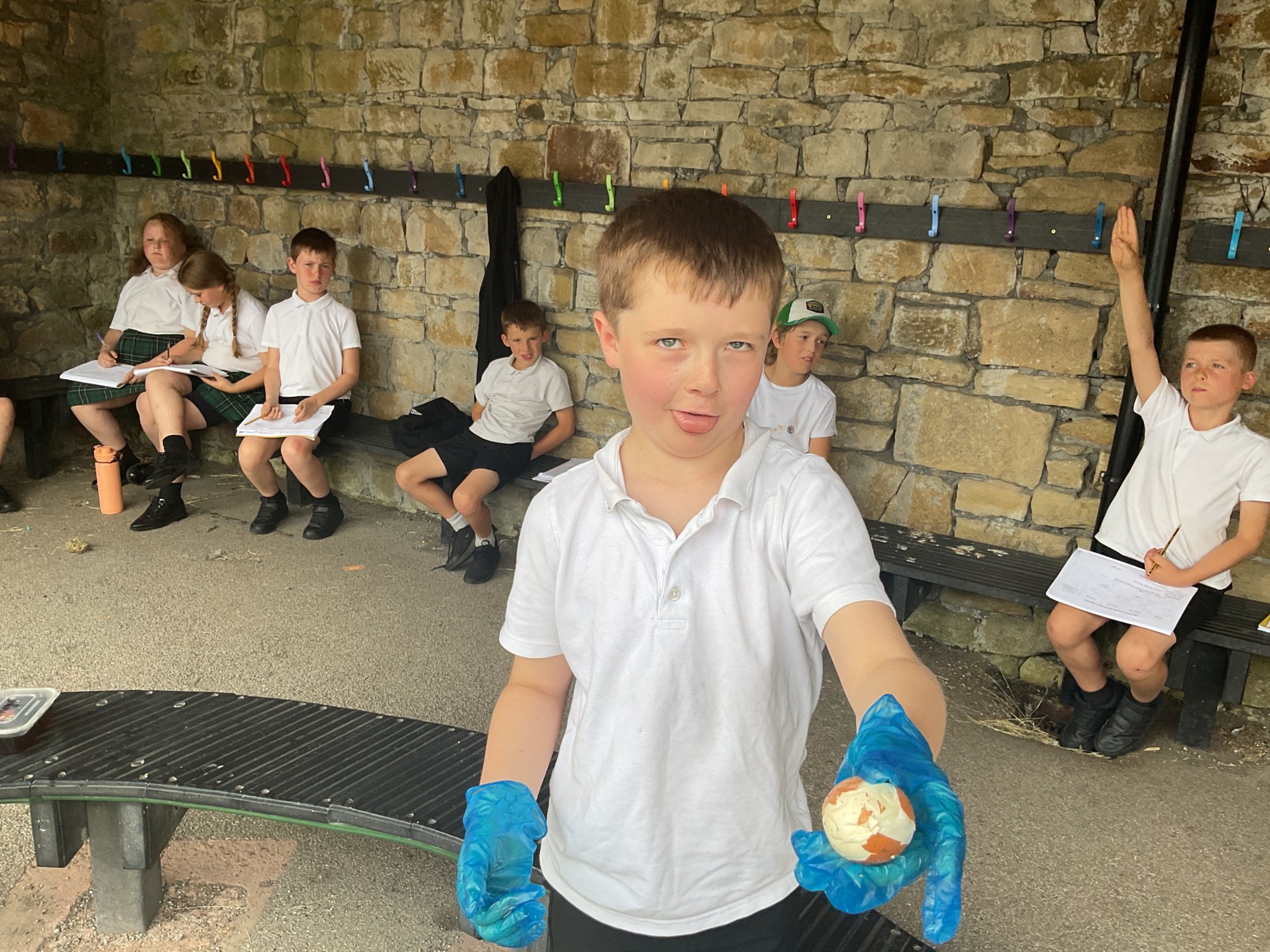 Image of Year 4’s Egg-cellent Science Experiment