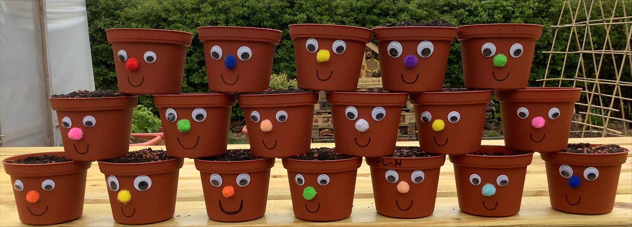Image of New Term, New Growth - Gardening Club Returns!