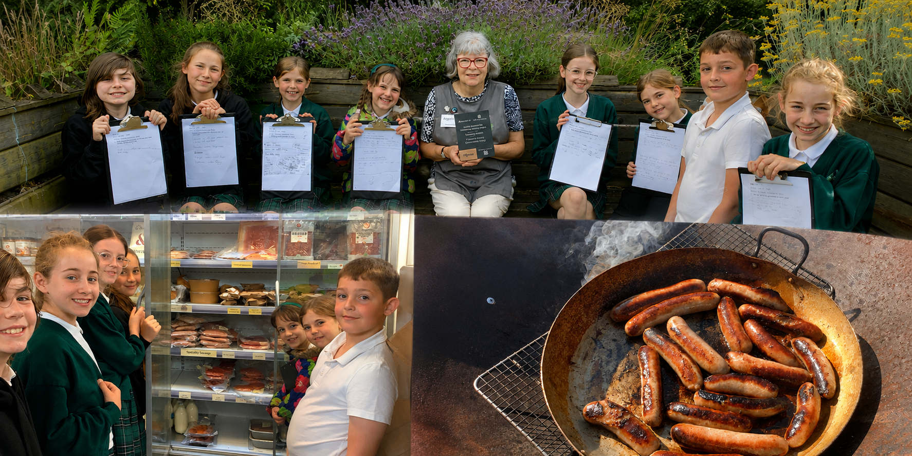 Image of Our Food For Life Journey