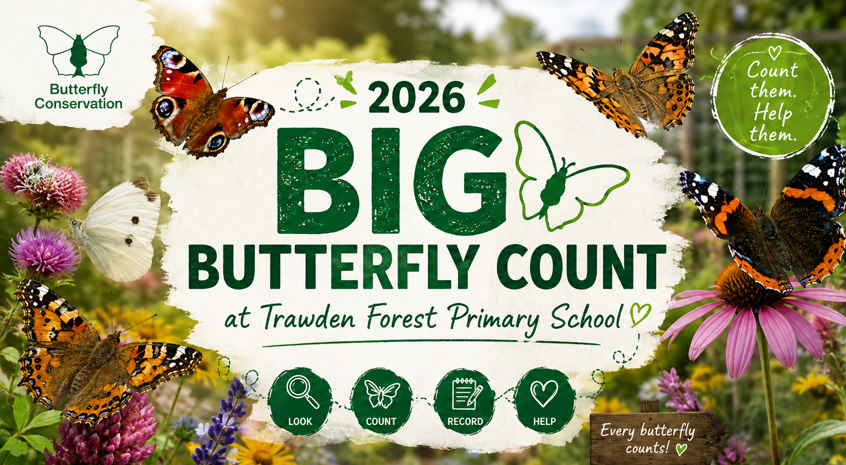 Image of Big Butterfly Count: Discovering Butterflies in Our School Garden