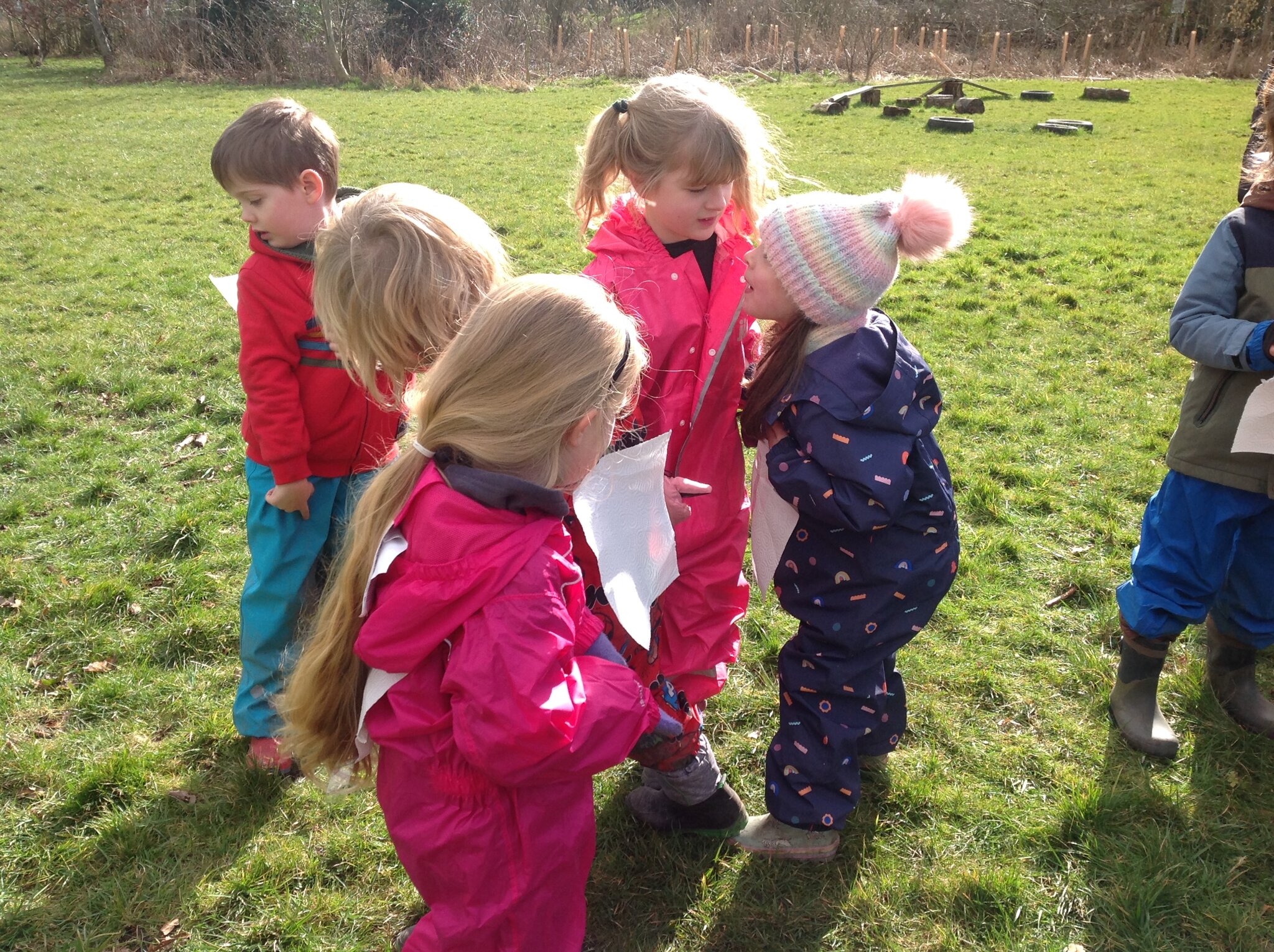 Image of Adapting Animals in the Forest