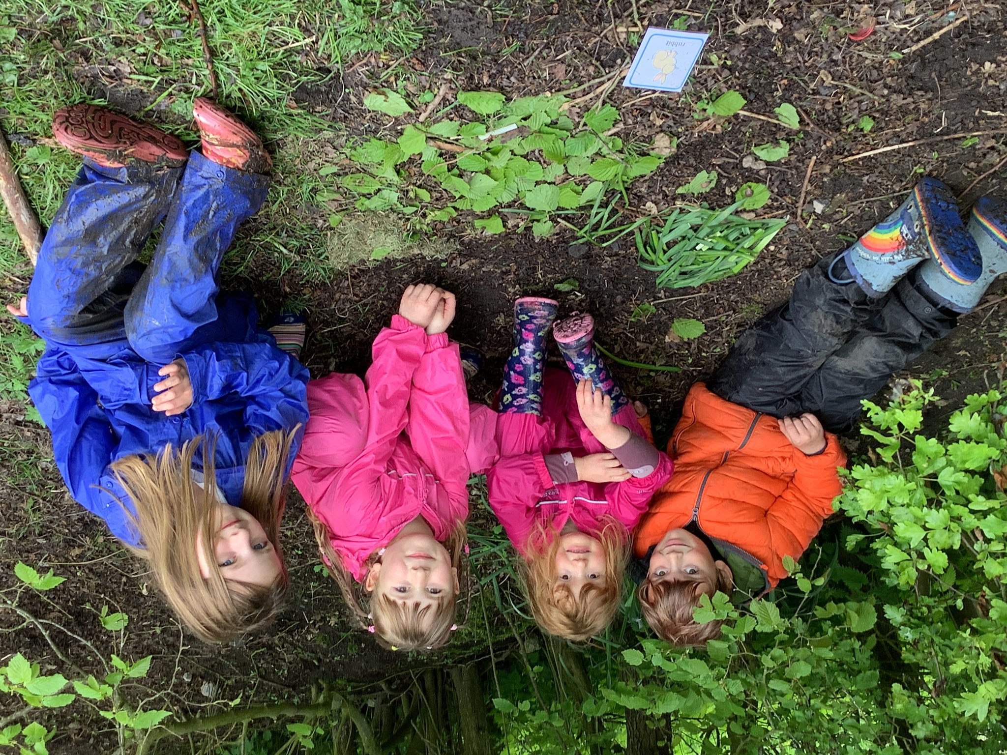 Image of Year 1 Forest School Animal Art