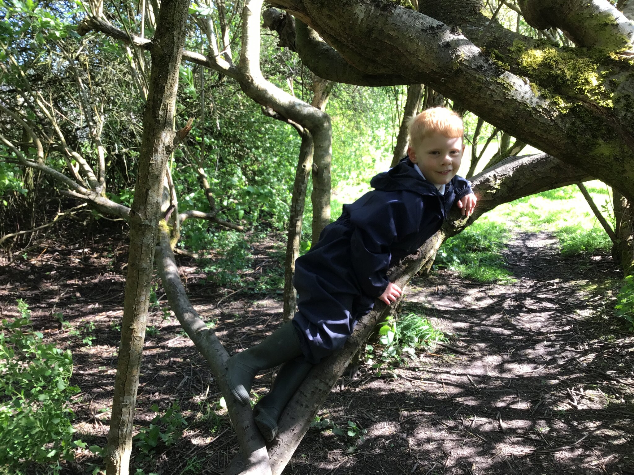 Image of Forest School Fun in EYFS!