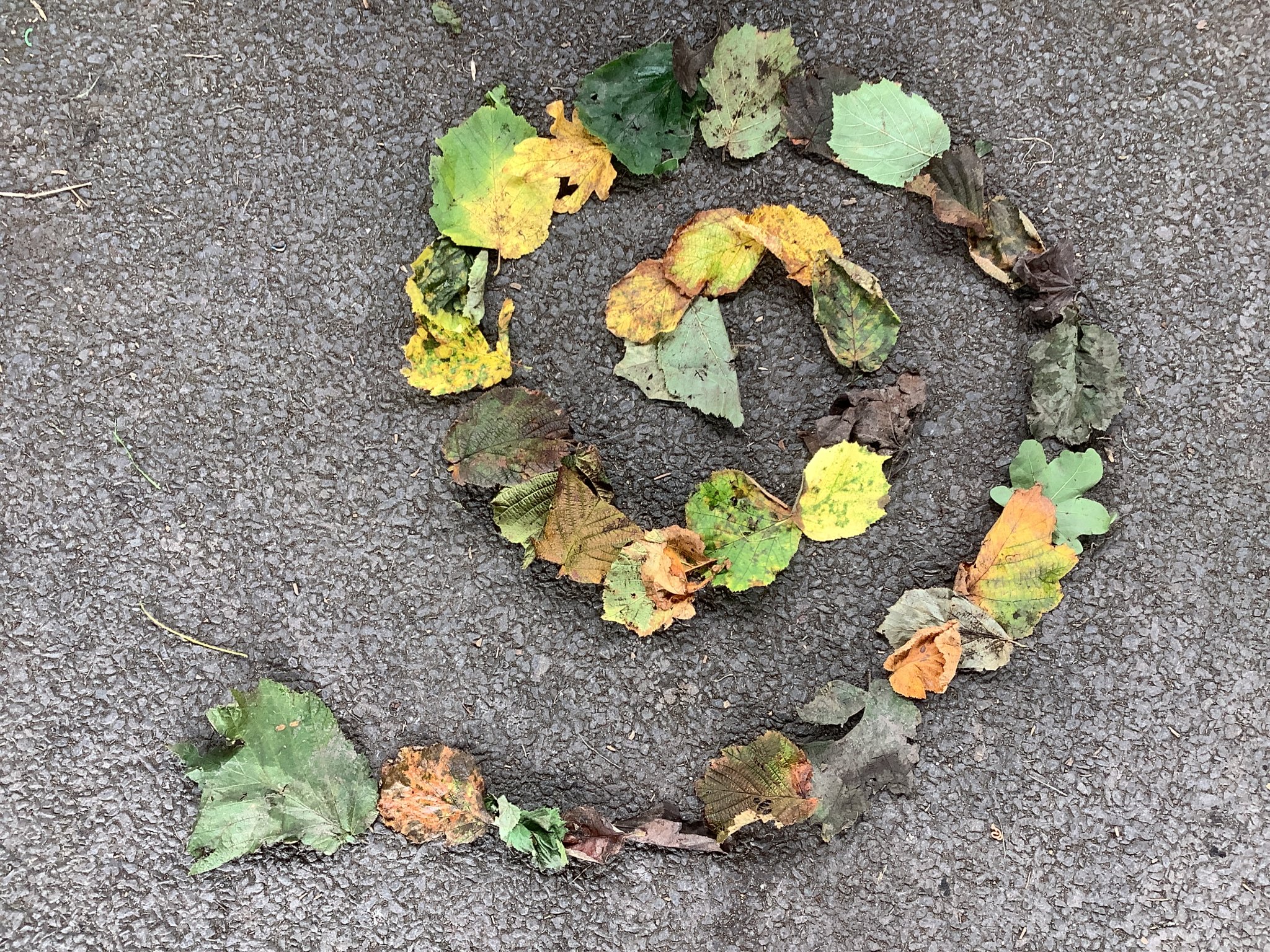 Image of Nature Spirals