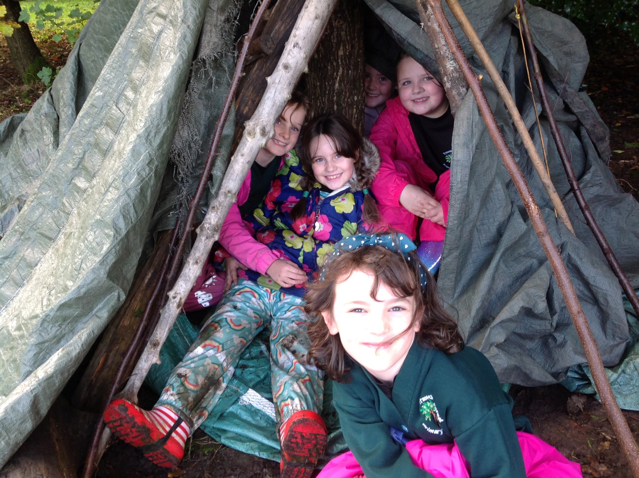 Image of Branching Out in Year 4!
