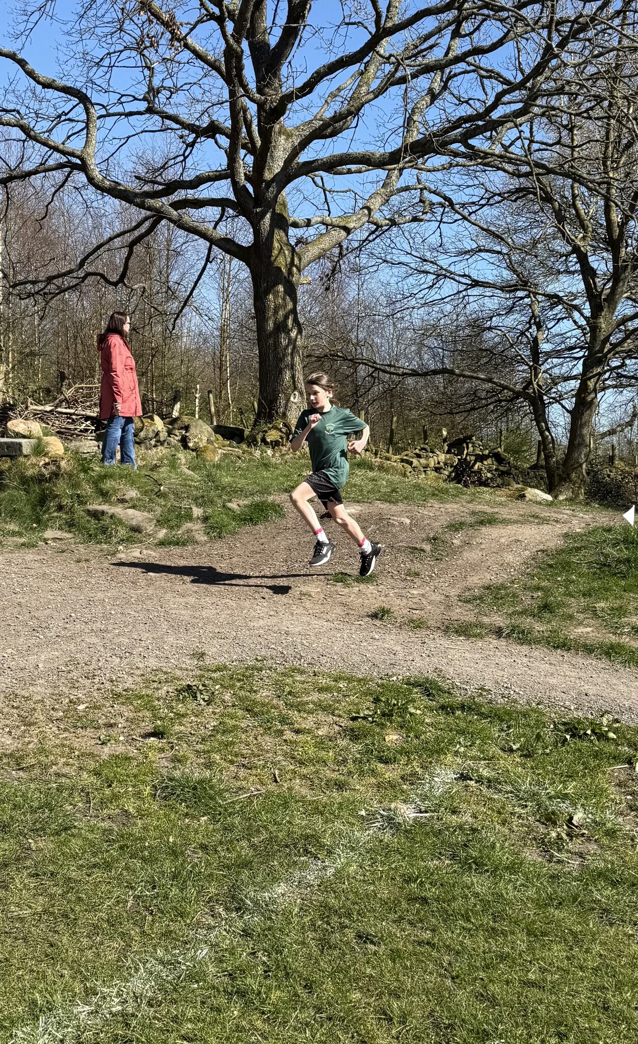 Image of Cross Country 2025