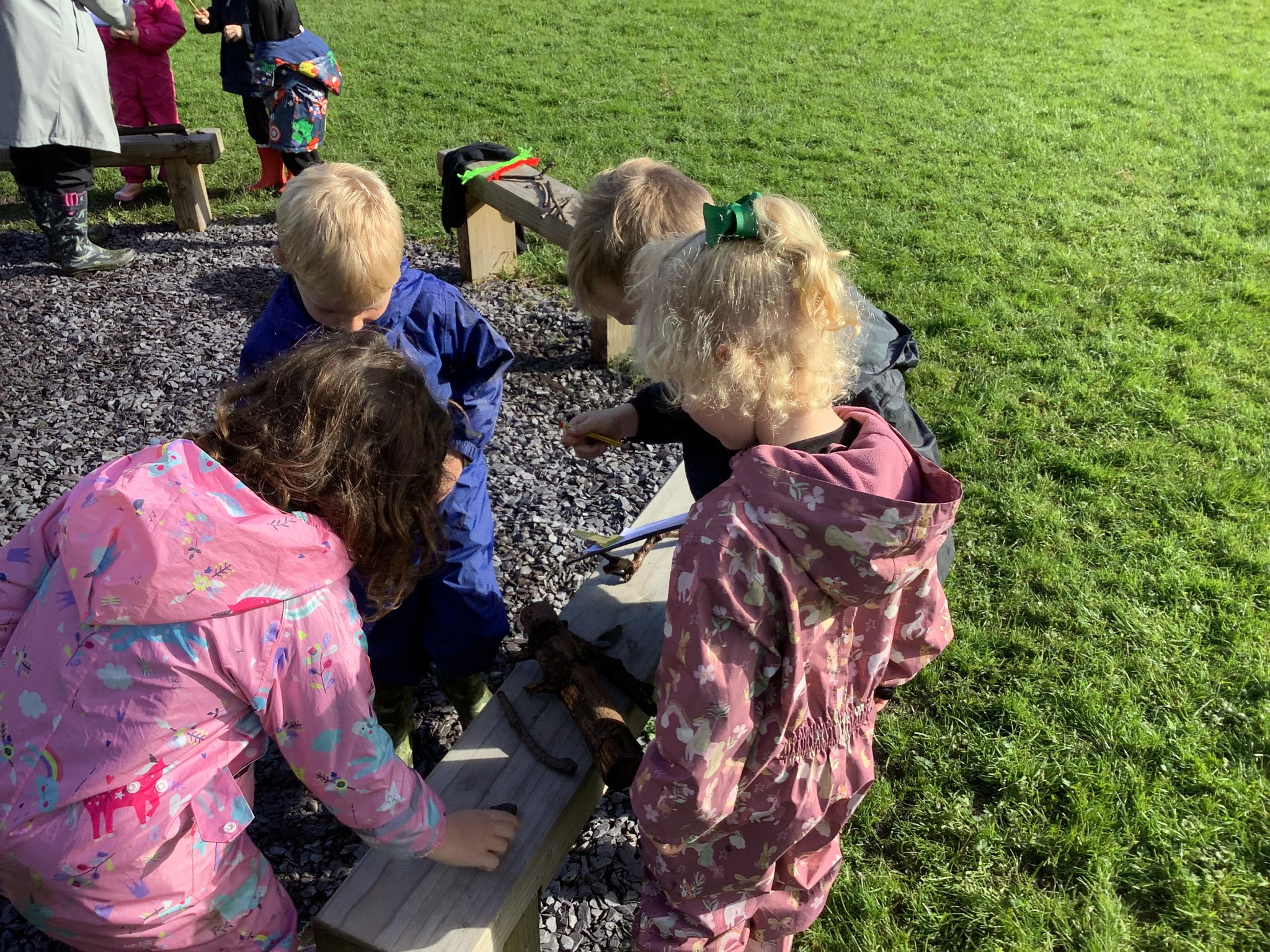 Image of Year 2 Forest School - Teamwork and Adventure 