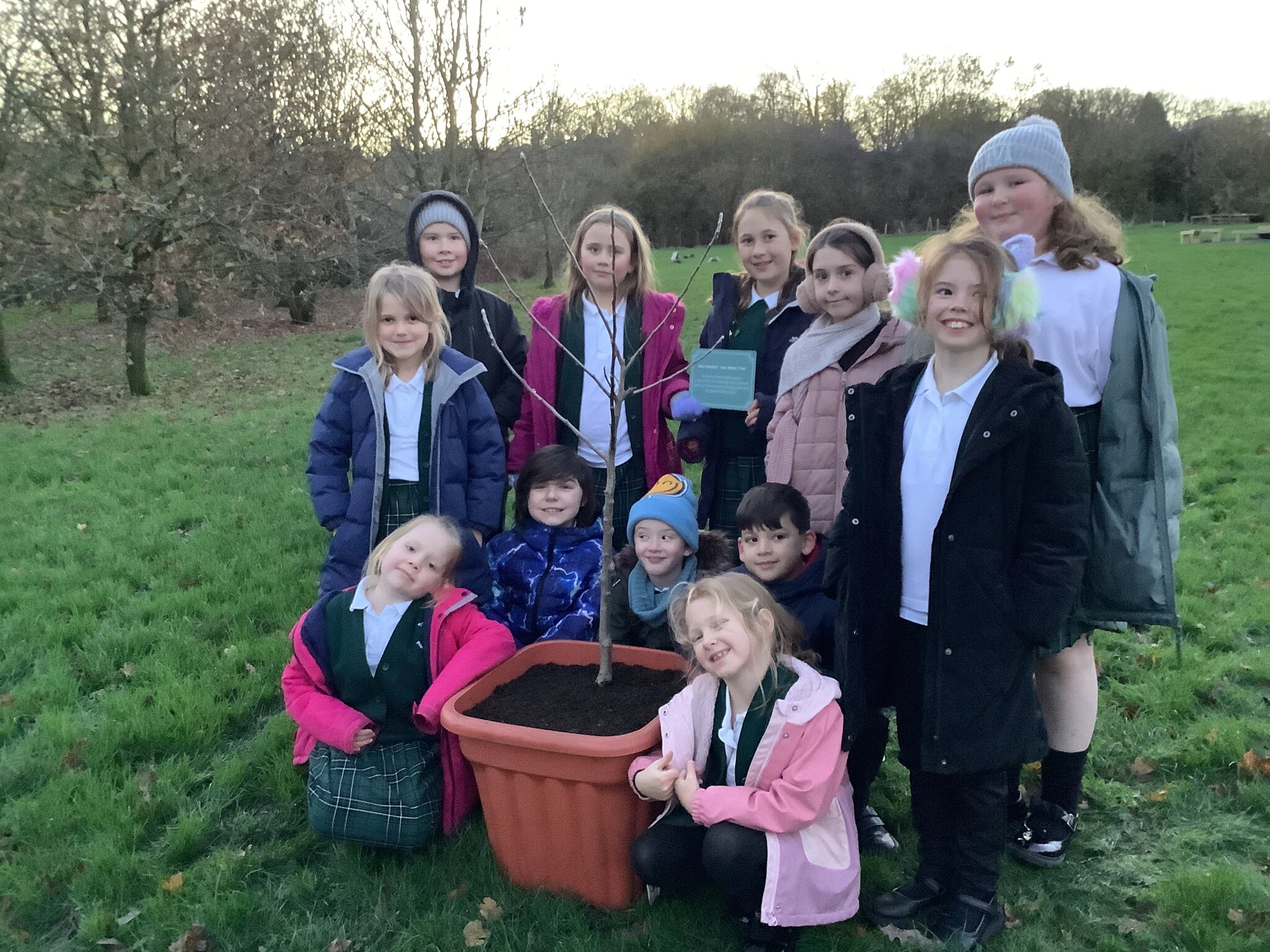 Image of National Tree Planting Week