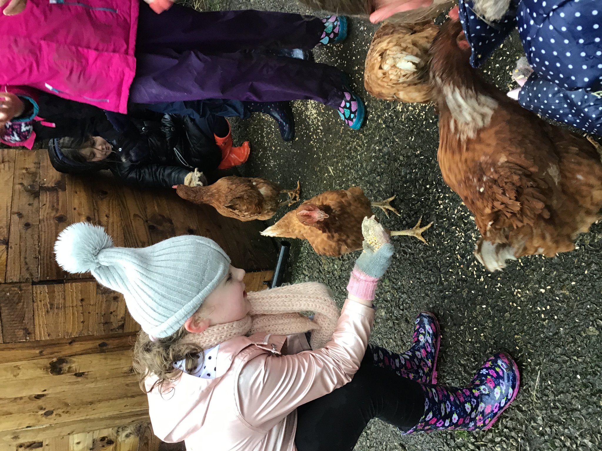 Image of Harwes Farm Day One