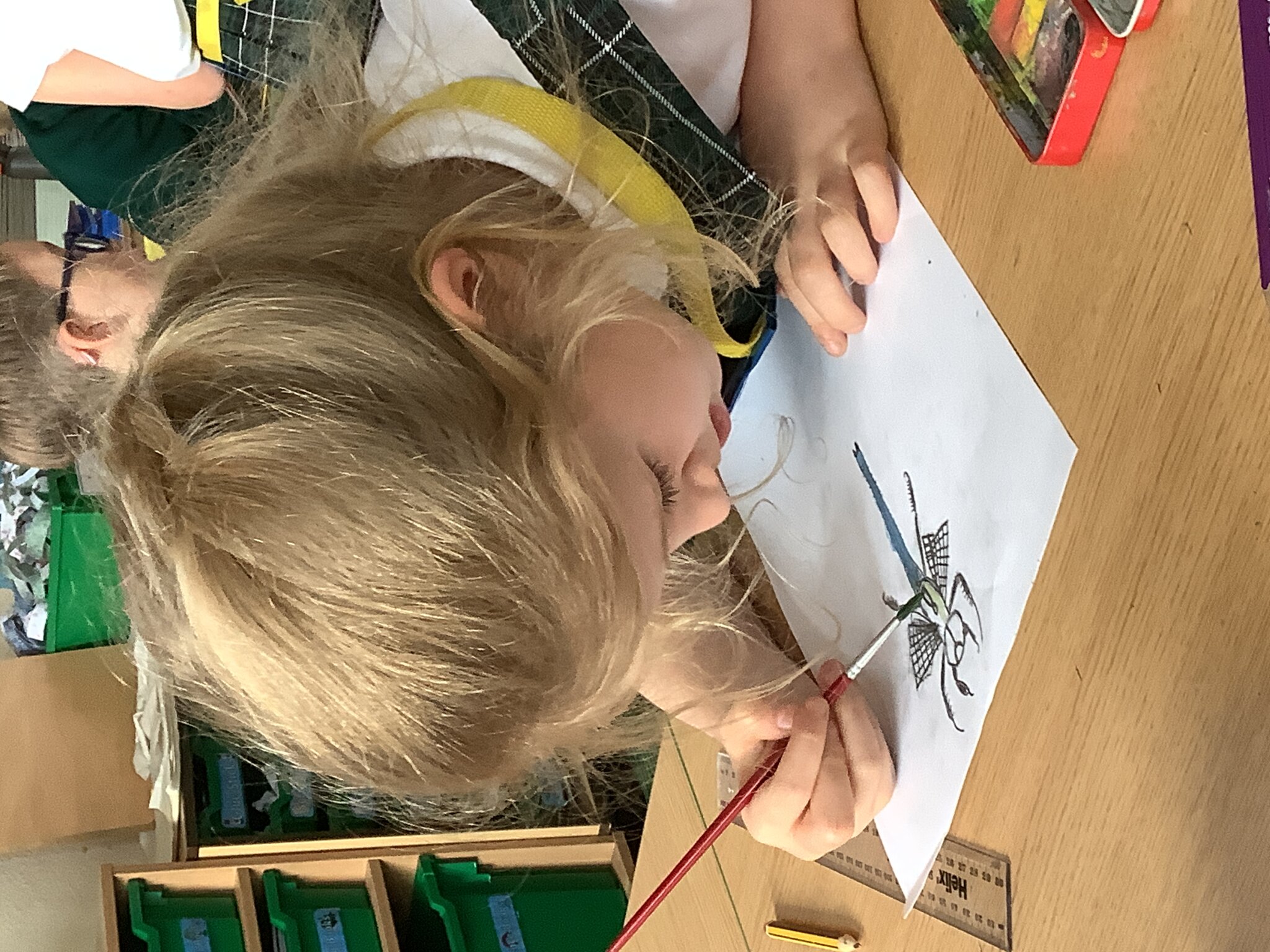 Image of Dragonflies in Year 3