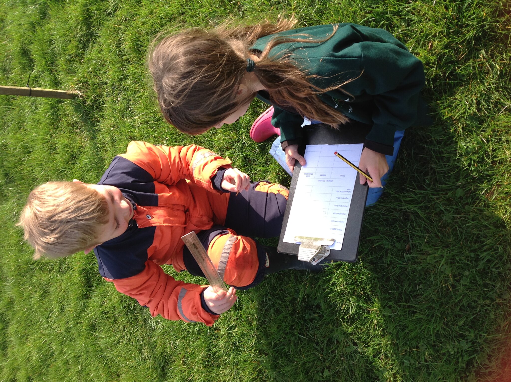 Image of Year 3's Measuring Madness!