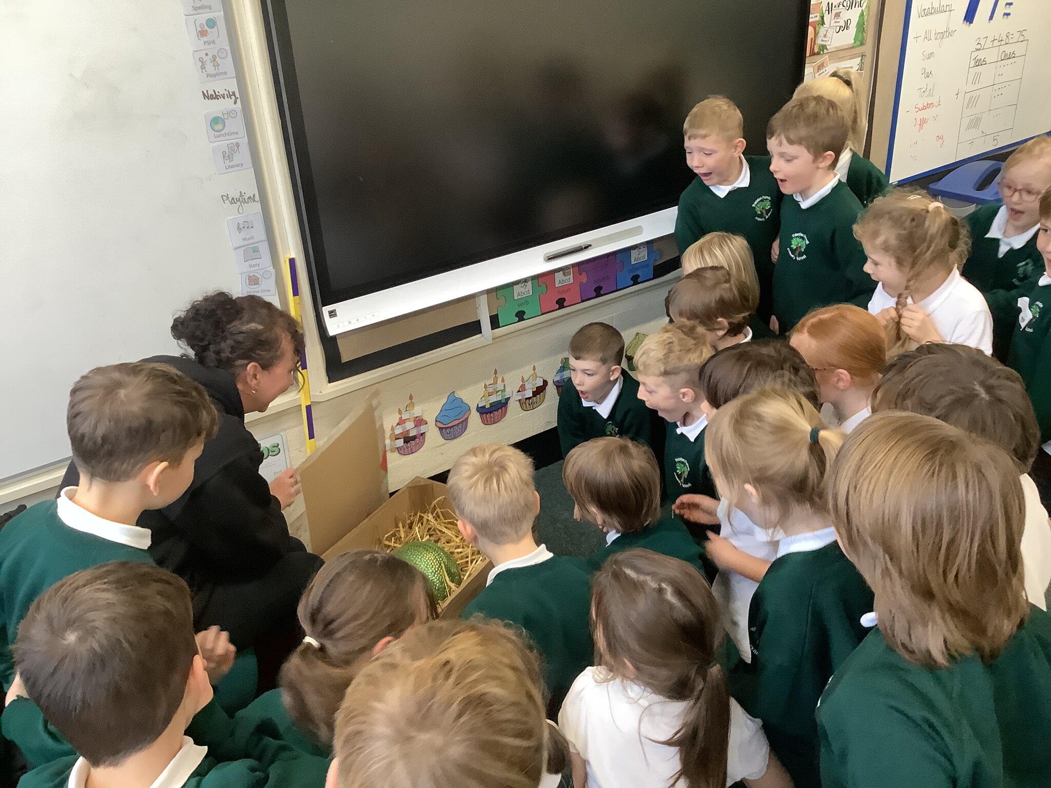 Image of Mysterious Discovery in Year 2!