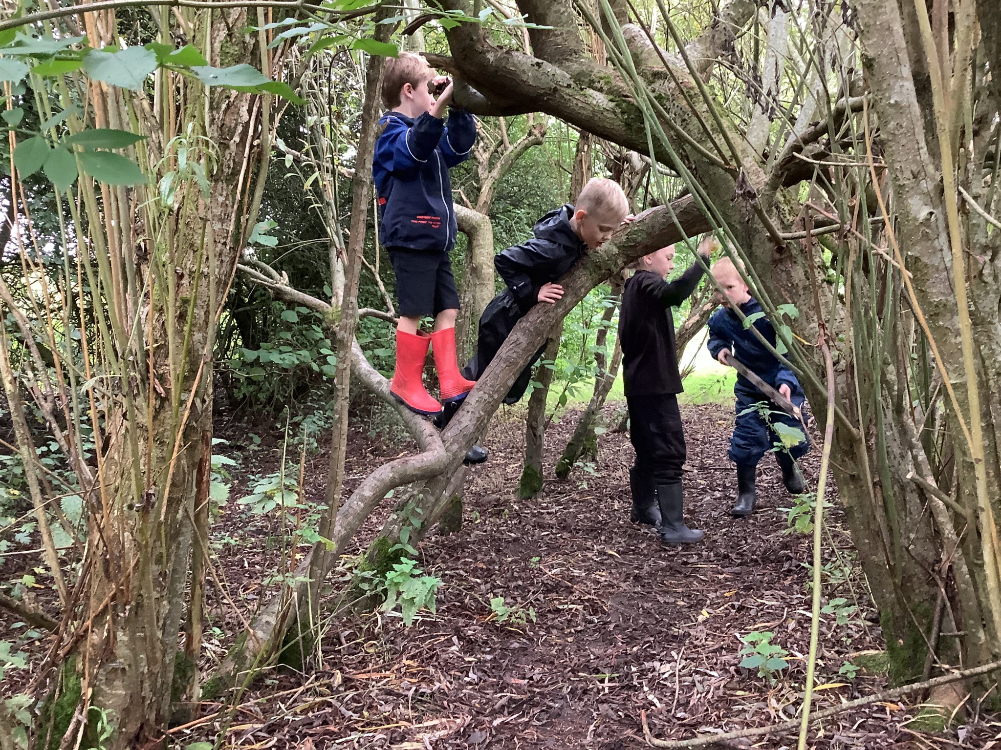 Image of Year 2 Forest School - Den Building 🌿