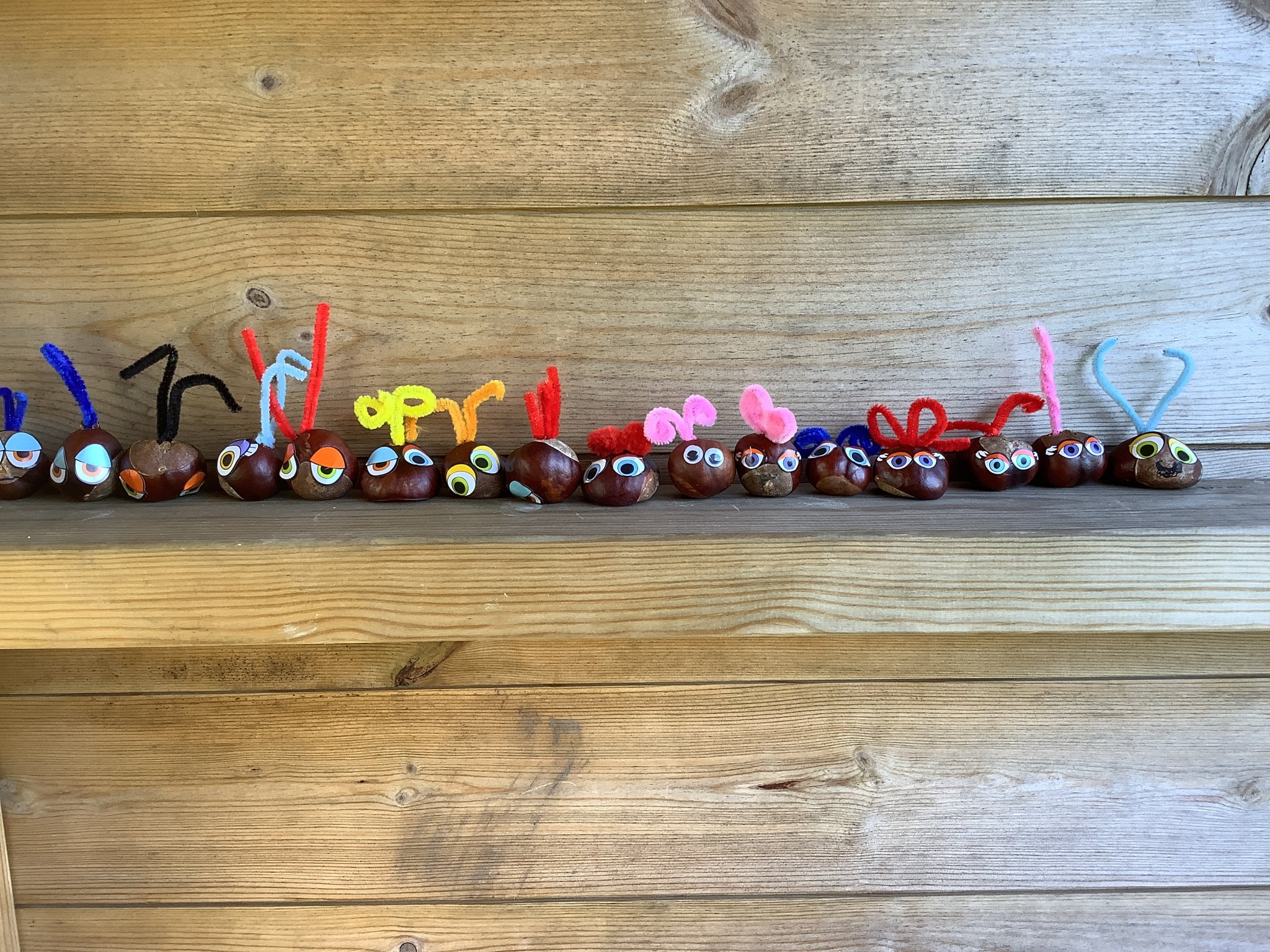 Image of Creative Conker Companions
