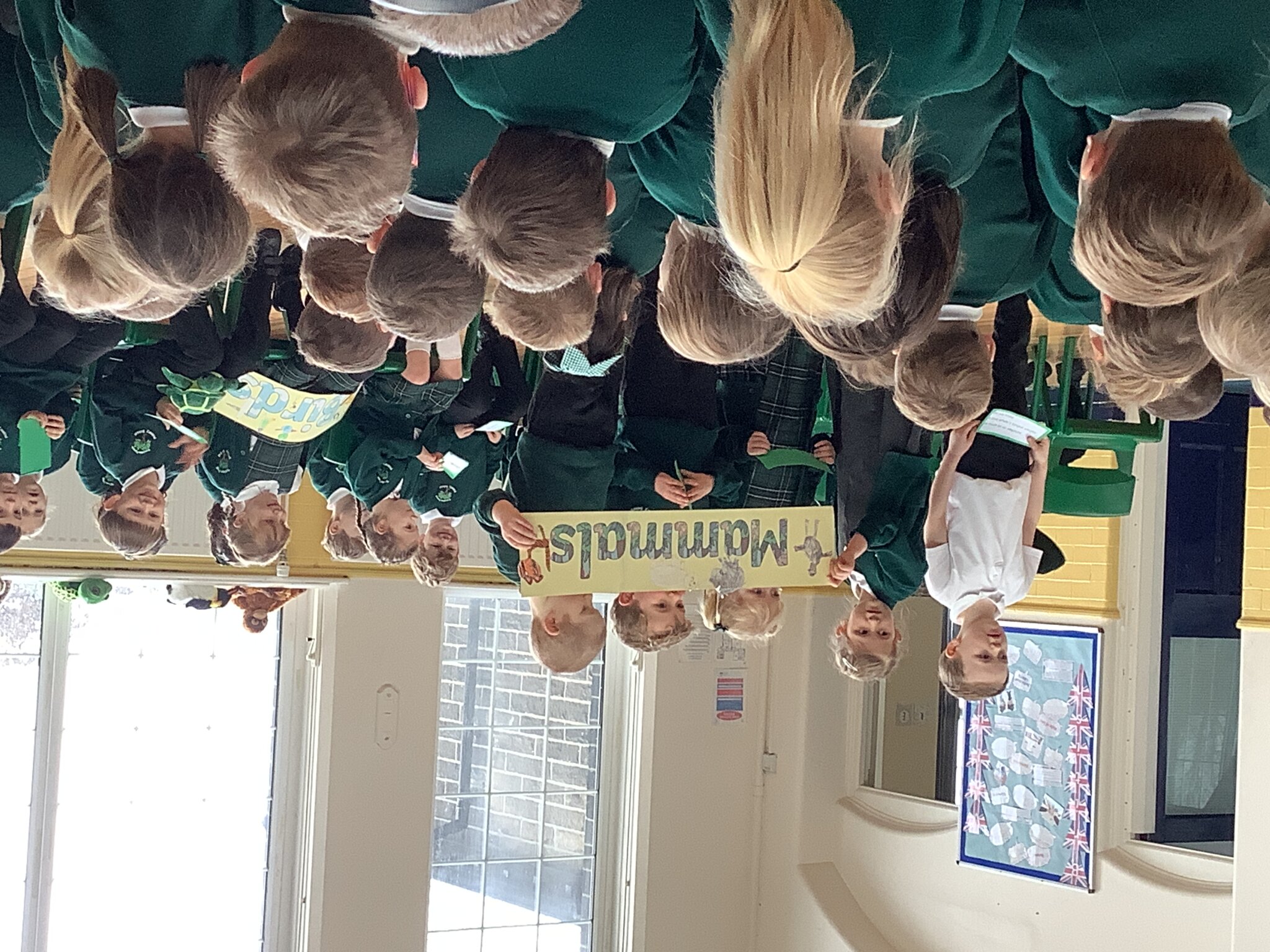 Image of Amazing Animal Assembly