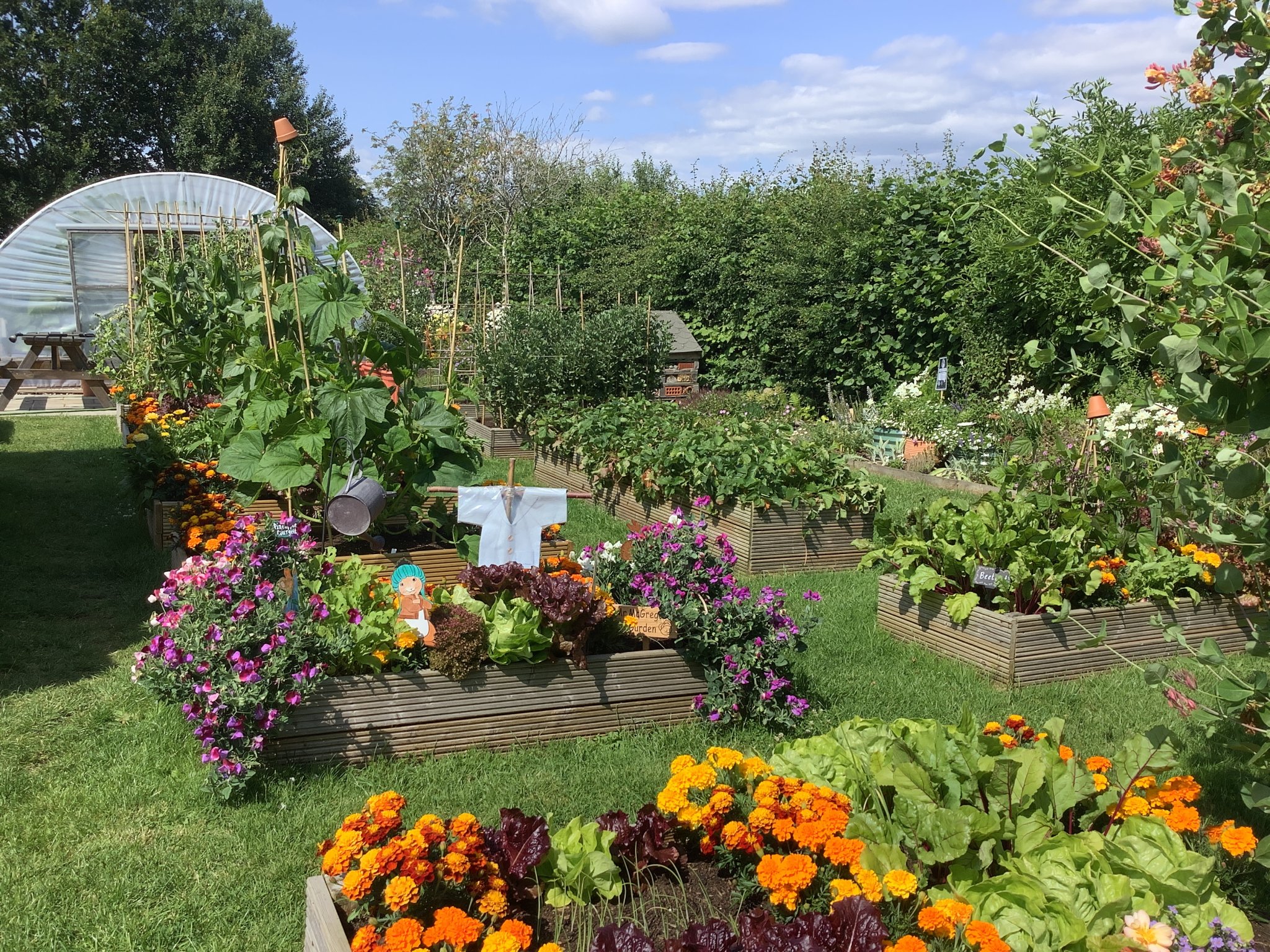 Image of Grow to Learn: Our School Allotment in Action