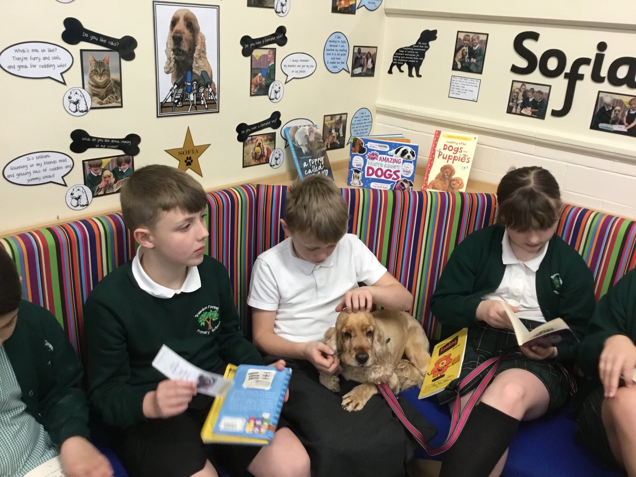 Image of Sofia The Therapy Dog Visits Year 5!