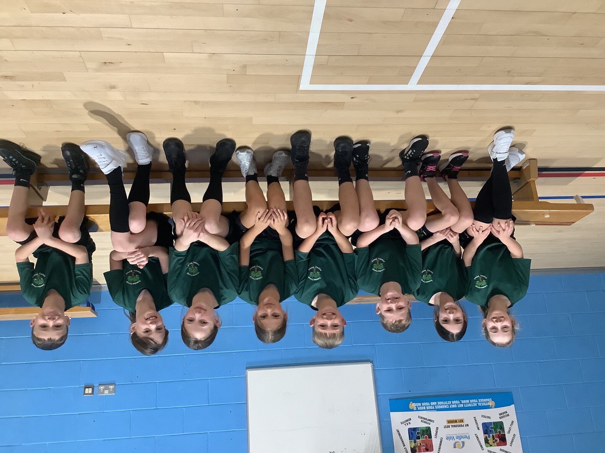 Image of Year 5 Benchball