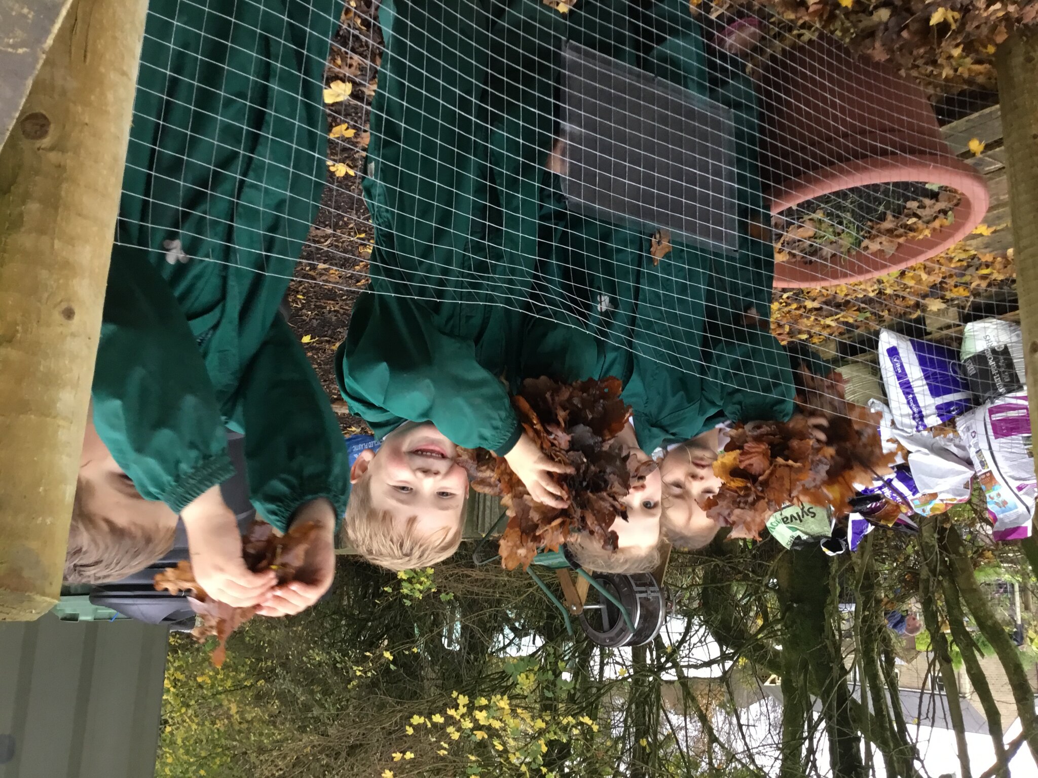 Image of EYFS Enjoy a Leaf-Filled Forest School Afternoon