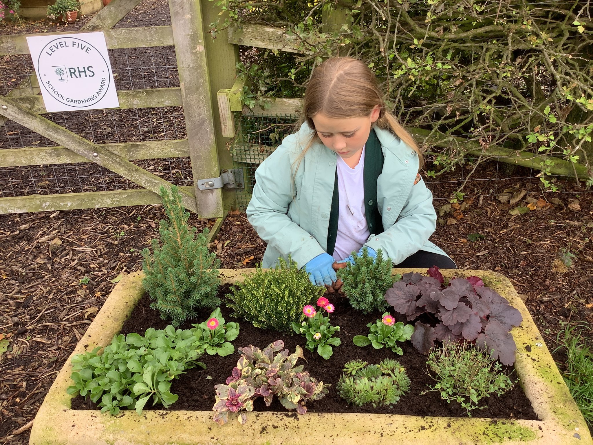 Image of There’s Always Something Growing On in Our Garden!
