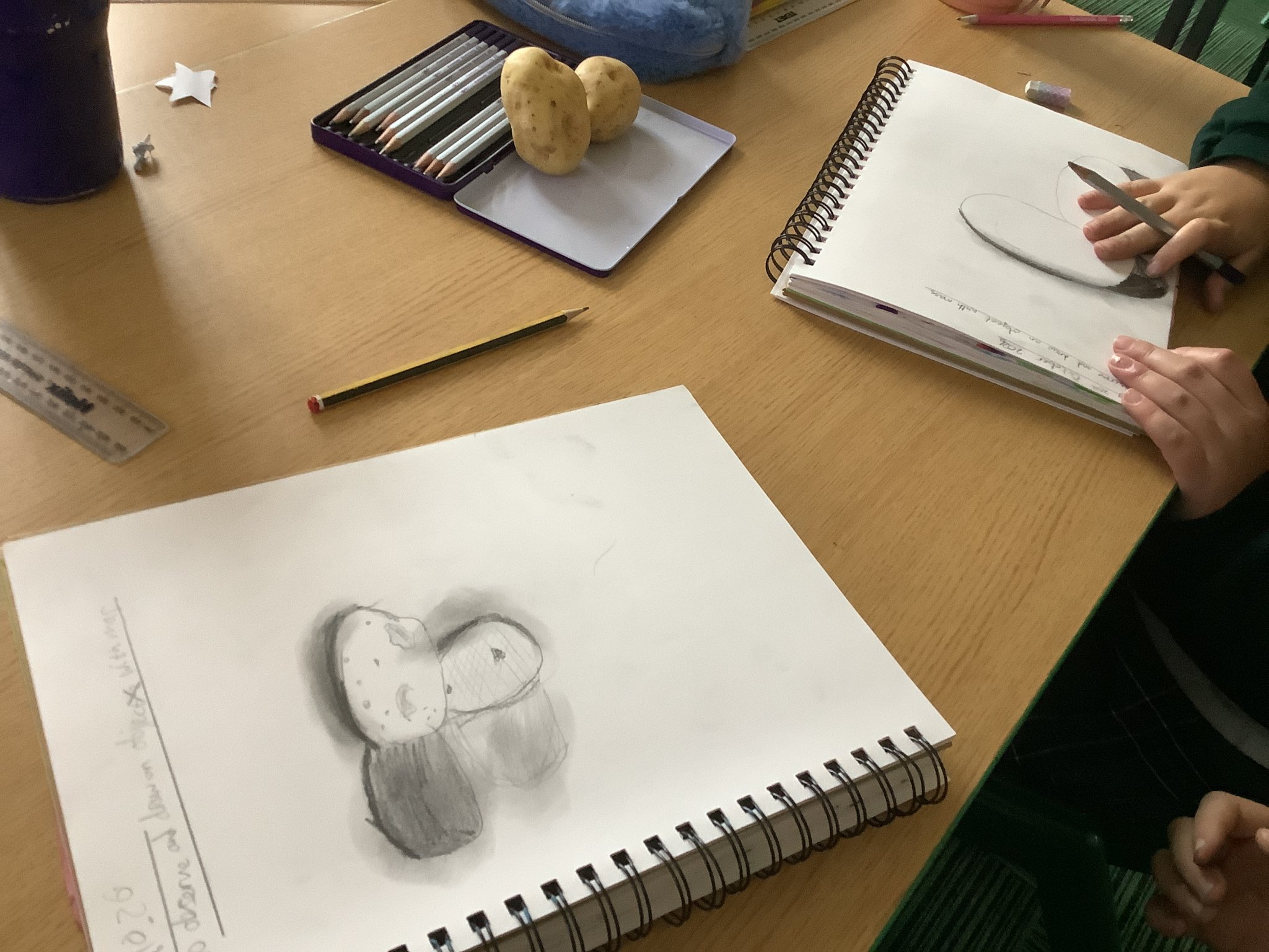 Image of Year 5's Artistic Skills on show!