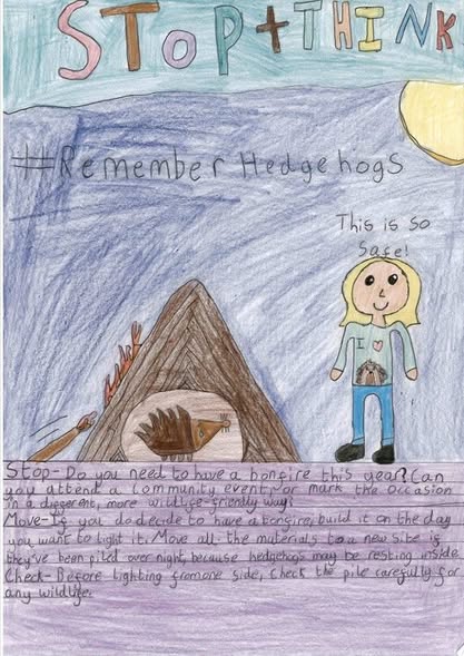 Image of British Hedgehog Preservation Society WINNER!