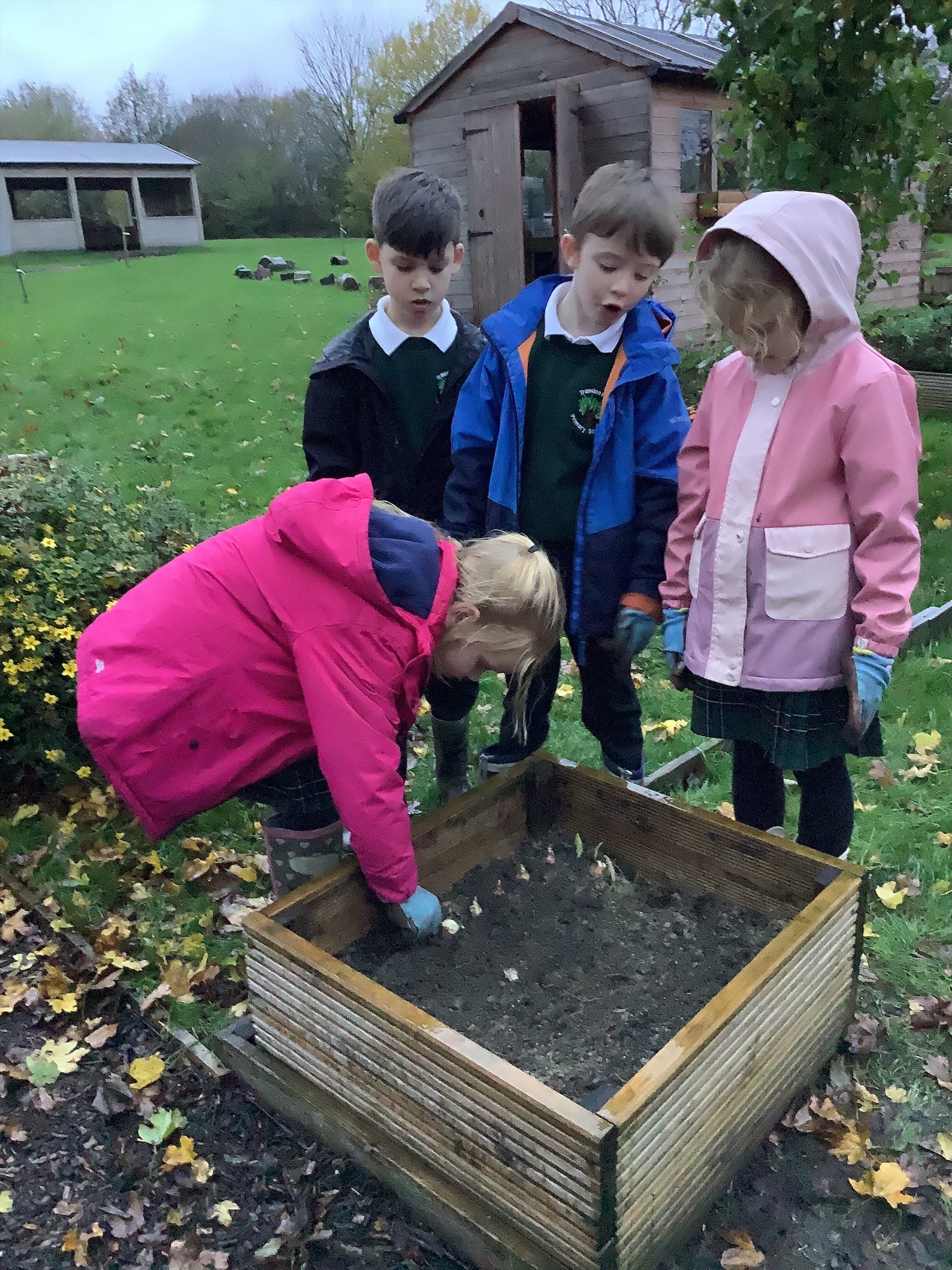 Image of From Bulbs to Bowls of Peach Ice Cream!