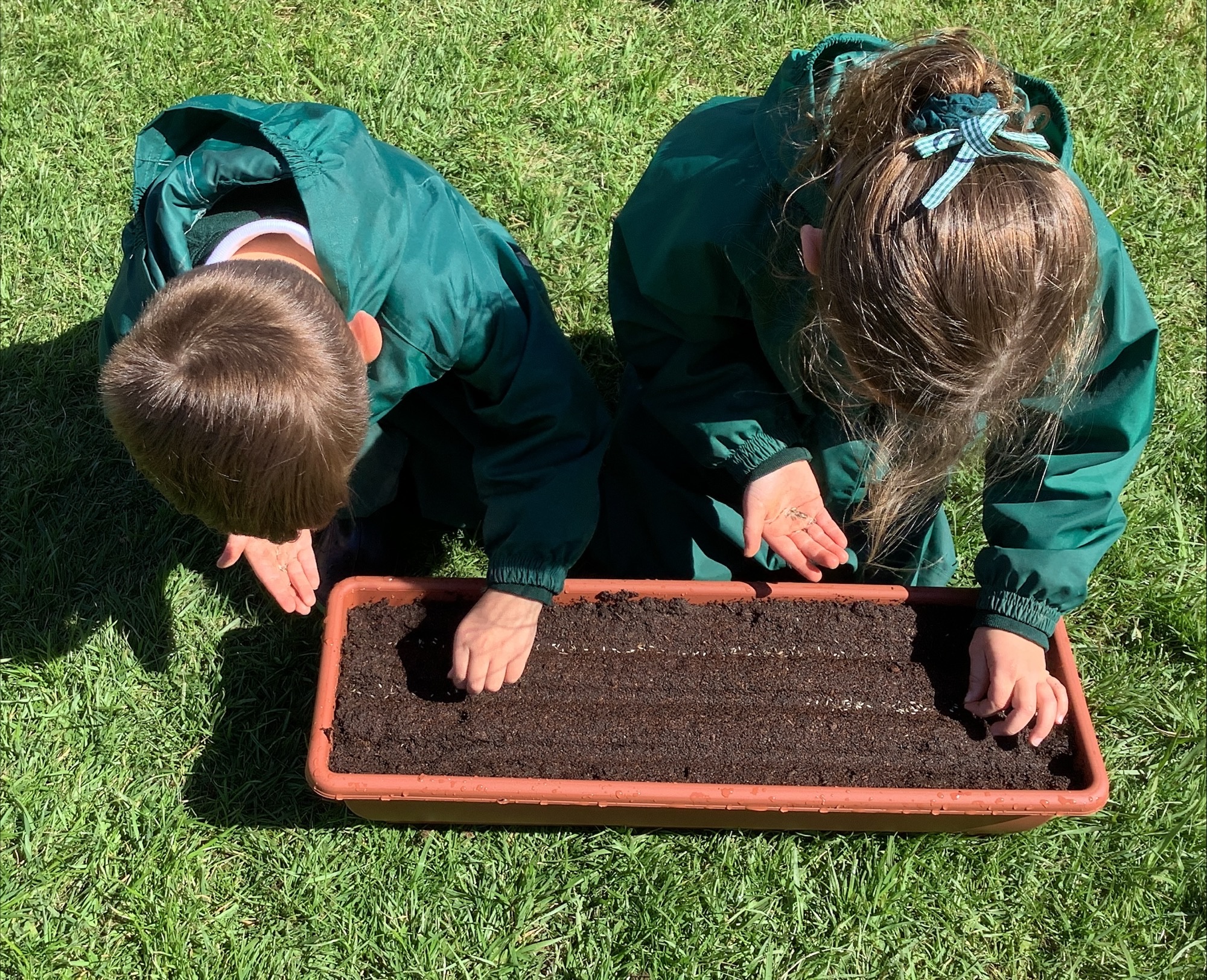 Image of Growing & Sharing Lunch - From Seed to Salad!