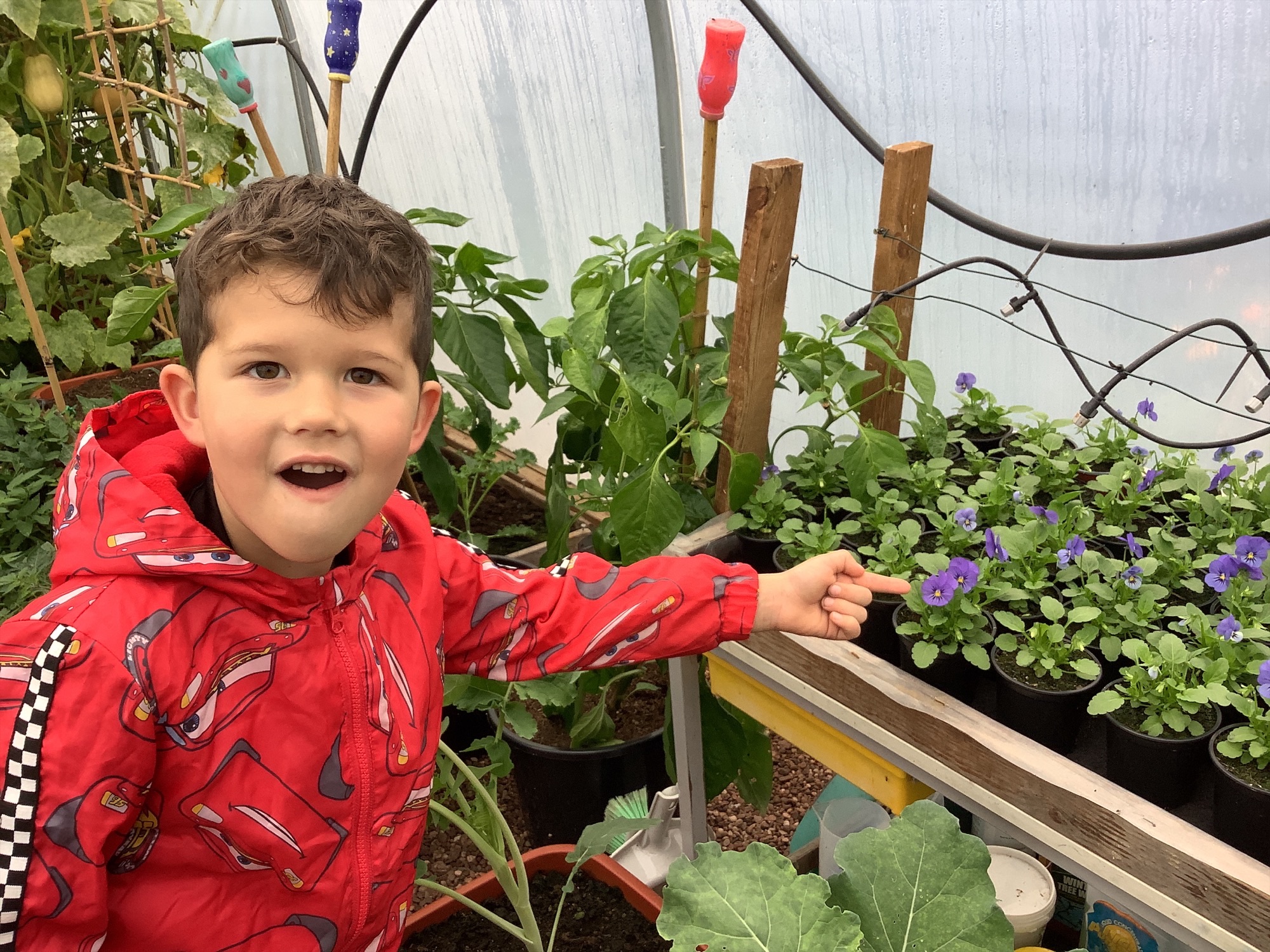 Image of Magic Beans and Golden Corn with the Year 1 Gardening Gang