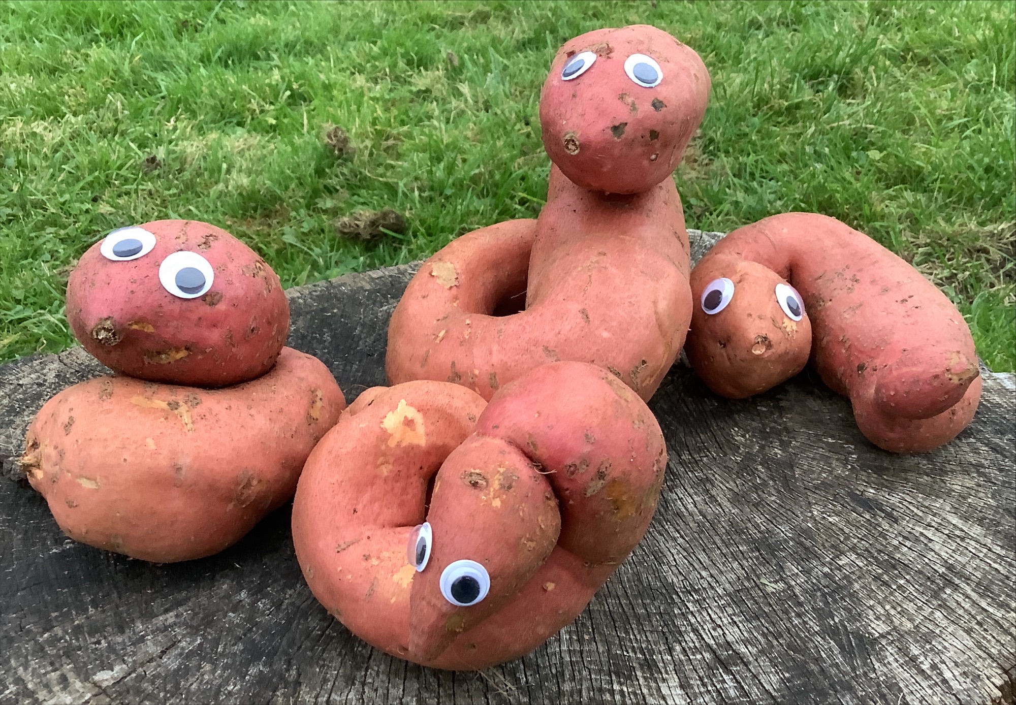 Image of Mischievous Veggies!