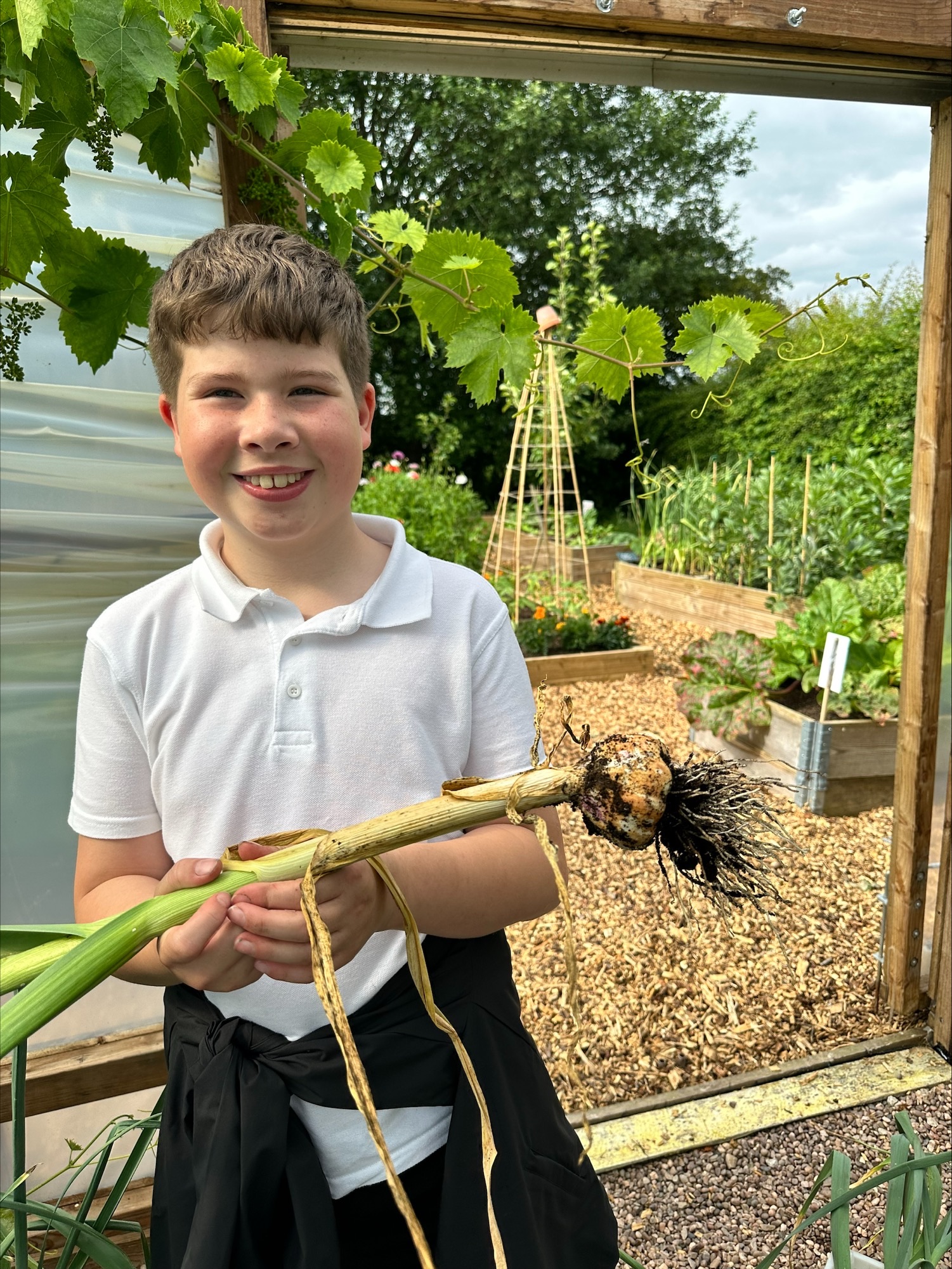 Image of From Plot to Plate!